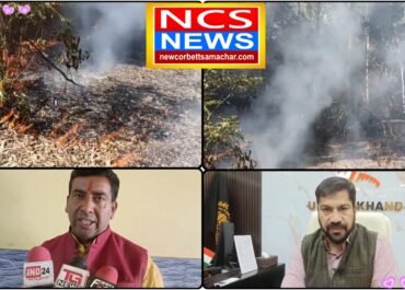 कॉर्बेट टाइगर रिजर्व में जंगलों की तबाही! फायर ड्रिल या लापरवाही, संरक्षण के नाम पर वन्यजीवों से खिलवाड़?