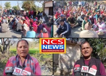 जिम कॉर्बेट में बाघों का आतंक, वन विभाग की लापरवाही पर भड़के ग्रामीण।
