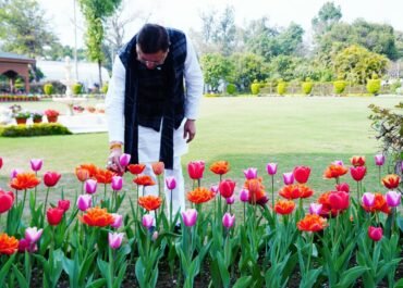 उत्तराखंड में बागवानी को मिलेगा बढ़ावा, फूलों की खेती से किसानों की आय में हो रहा इजाफा।