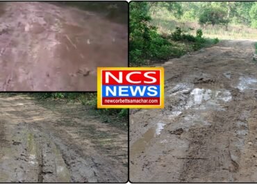 गर्जिया जोन की उपेक्षा पर फूटा नेचर गाइडों का गुस्सा, मुख्य वन्य जीव प्रतिपालक को भेजा पत्र।