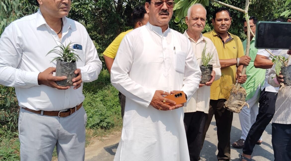 शिशुपाल सिंह रावत ने विश्व पर्यावरण दिवस पर किया वृक्षारोपण का संकल्प"