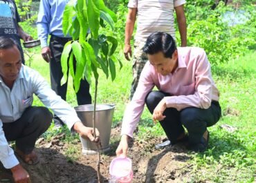 विश्व पर्यावरण दिवस पर आयुक्त दीपक रावत ने किया पौधारोपण, शहरी वनों और जनभागीदारी पर दिया बल।