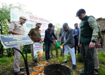 हरेला पर्व पर न्यायपालिका और वन विभाग ने मिलकर दिया पर्यावरण संरक्षण का संदेश।