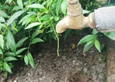 पाटकोट गांव में 10 दिन से पेयजल संकट, ग्रामीण परेशान, सरकार के ‘हर घर नल’ वादे की खुली पोल,  विभाग पर लगाए गंभीर आरोप ।