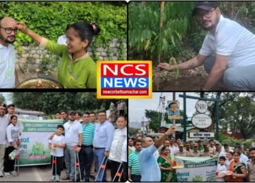 हरेला पर्व पर ढिकुली में वृक्षारोपण और स्वच्छता अभियान, पर्यावरण संरक्षण का दिया गया संदेश।