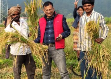 फसल के आंकड़े तय करेंगे किसानों का भविष्य — कालाढूंगी में एडीएम ने की क्रॉप कटिंग।
