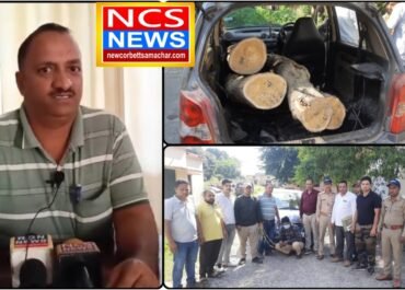 अवैध सागौन की तस्करी का पर्दाफाश — वन विभाग ने सैंट्रो कार सहित एक तस्कर गिरफ्तार, वाहन सीज।