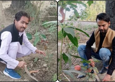 विश्व दिव्यांग दिवस पर दिव्यांग युवा शक्ति फाउंडेशन ने किया वृक्षारोपण — पूरे देश में चला हरियाली व जागरूकता अभियान।