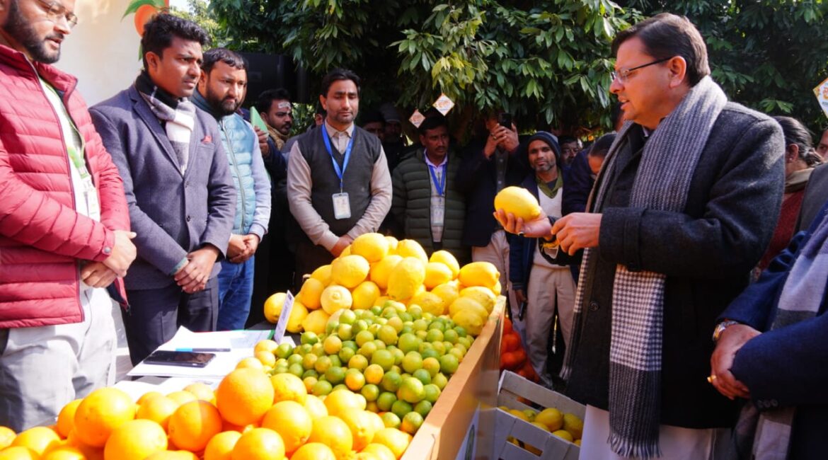 मुख्यमंत्री ने किया उत्तराखंड माल्टा महोत्सव का शुभारंभ, राज्य में ‘माल्टा मिशन’ शुरू करने की घोषणा