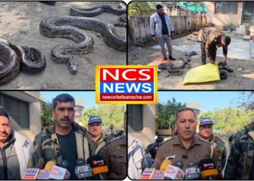 जान हथेली पर रखकर वन्यजीवों को बचा रहे जंगल के रक्षक