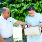 मुख्यमंत्री आवास में शहद उत्पादन की नई मिसाल, 45 दिन में 520 किलो उत्पादन।