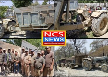 खनन माफिया पर वन विभाग का शिकंजा, जंगल से पकड़ी गईं 6 ट्रैक्टर-ट्रॉलियां।