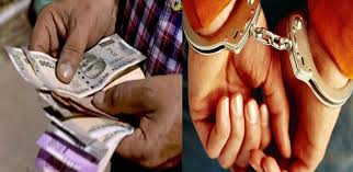 “घूस लेते ही खेल खत्म!”—विजिलेंस का ट्रैप, अकाउंटेंट गिरफ्तार।