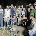 आखिर पकड़ में आया मौत का शिकारी! दो लोगों को मारने वाला नरभक्षी बाघ ट्रेंक्यूलाइज।
