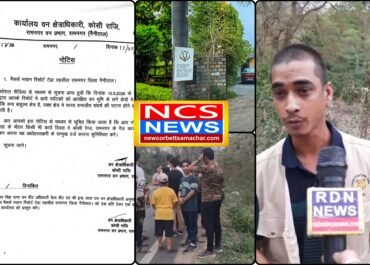 *खबर का असर* “जंगल के कानून से खिलवाड़!” 🐅 बाघों के इलाके में पर्यटकों को घुमाना पड़ा भारी, मचान रिसोर्ट पर वन विभाग का शिकंजा!