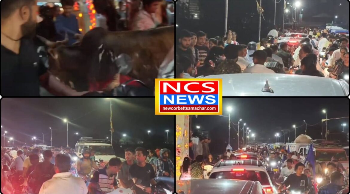 ऋषिकेश में ट्रैफिक व्यवस्था बेपटरी, चंद्रभागा पुल पर पुलिस नदारद, घंटों जाम में फंसे लोग, जाम के बीच घुसा सांड, मची अफरा-तफरी; ऋषिकेश की व्यवस्था पर उठे सवाल।