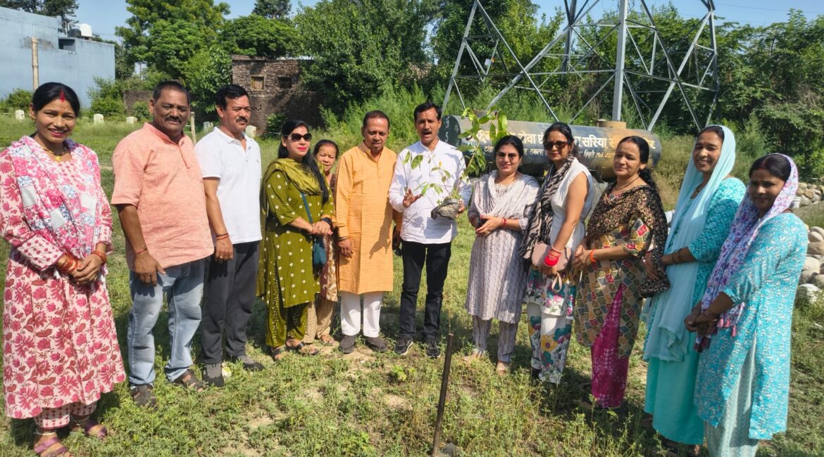त्रिवेणी धाम टांडा मल्लू में वृक्षारोपण कार्यक्रम आयोजित, पर्यावरण संरक्षण का दिया संदेश।