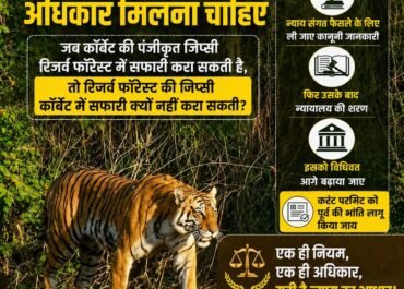 कॉर्बेट की सफारी पर नया विवाद, करंट परमिट खत्म करने की तैयारी के खिलाफ जिप्सी स्वामियों का बड़ा ऐलान।