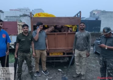 खैर तस्करों की ‘पिकअप’ पर वन विभाग का शिकंजा, बाजपुर में दो वाहन जब्त!