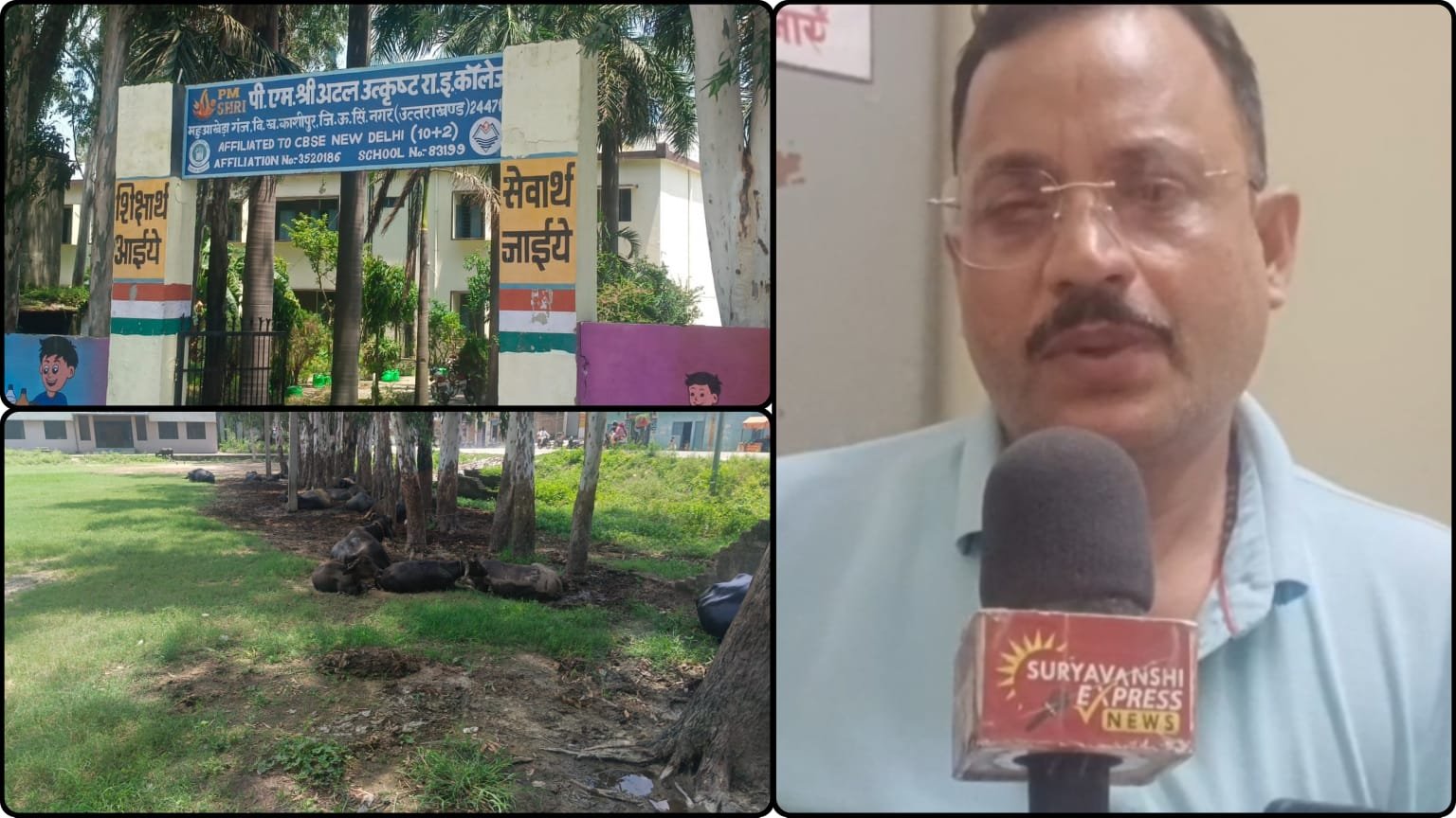 अटल उत्कृष्ट कॉलेज में बदहाली का ‘काला सच’! पेड़ों की कटाई से लेकर सुविधाओं तक सवाल।