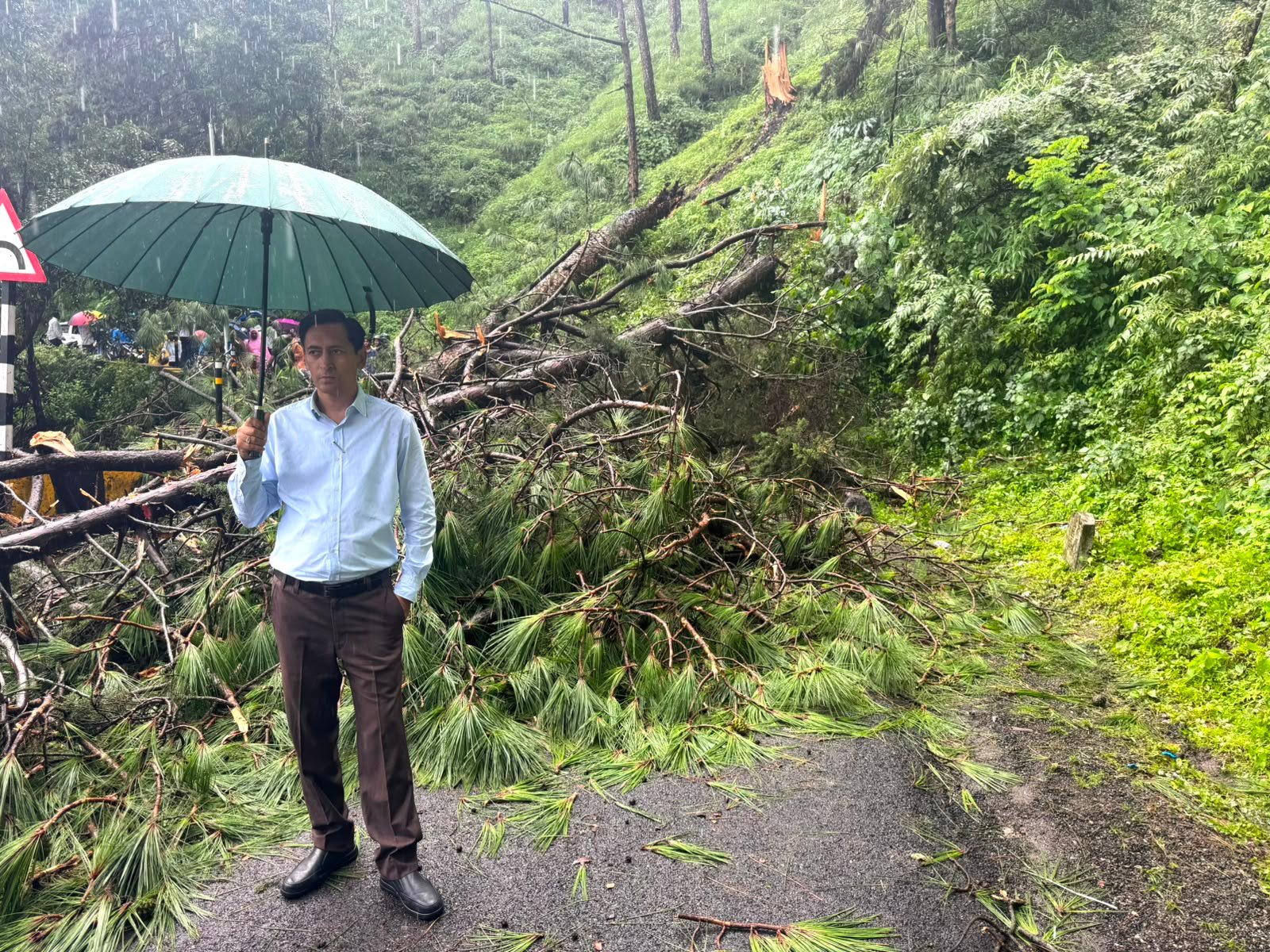 वल्दियाखान में सड़क पर गिरा चीड़ का पेड़, कुमाऊं आयुक्त ने मौके से संभाली व्यवस्था।