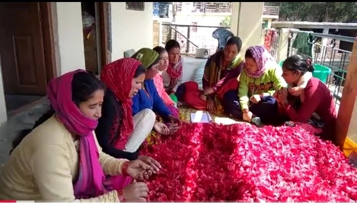 पहाड़ी फलों से कारोबार तक पहुंचा महिलाओं का हुनर, आत्मनिर्भर उत्तराखंड की मिसाल बना शीतल स्वयं सहायता समूह।